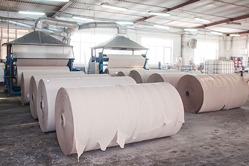 PAPER INDUSTRY